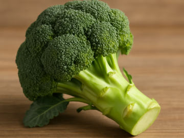 Fresh broccoli with green florets and stalk on a wooden surface.