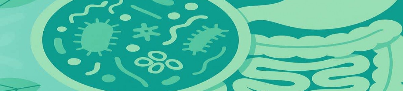 Illustration of the gut microbiome with various bacteria inside a magnified circle next to a stylized digestive tract.