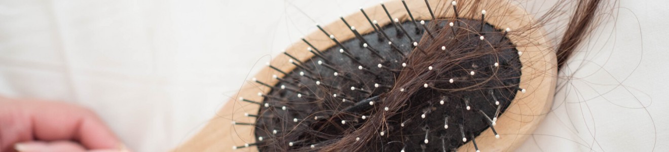 A hand holding a wooden hairbrush filled with clumps of brown hair on a white surface.