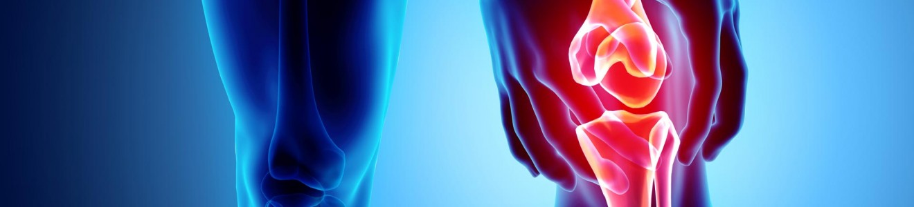 3D medical illustration showing knee joint pain with highlighted bones and red inflammation area.