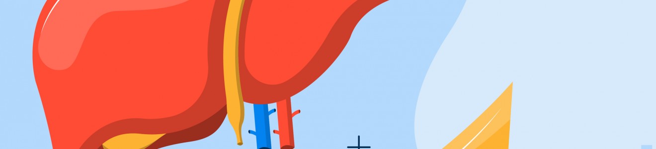 Illustration of a human liver with blood vessels against a blue background with medical cross symbols.
