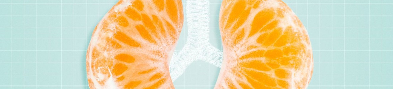 Two orange slices resembling human lungs placed on a blue grid background with a white bronchial tree illustration.