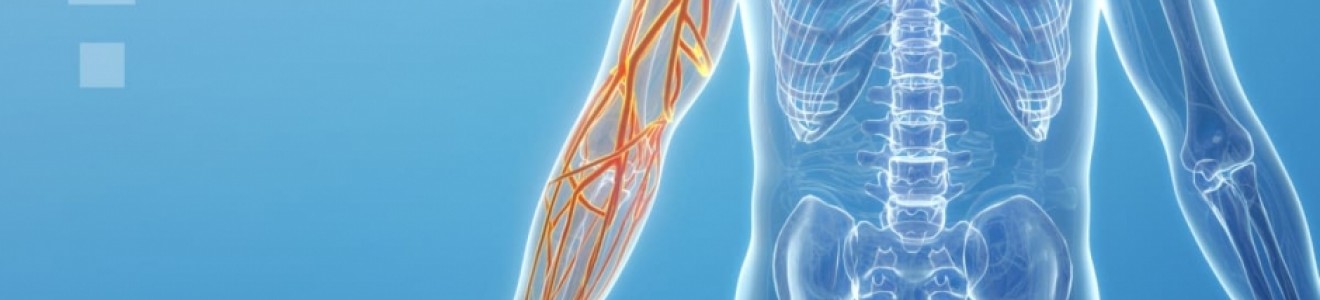 Transparent human torso and arm with highlighted arm nerves on a blue background.