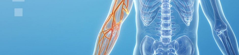 Transparent human torso and arm with highlighted arm nerves on a blue background.