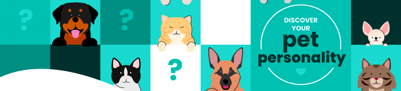 Illustration of various cartoon dogs and cats surrounding the text 
