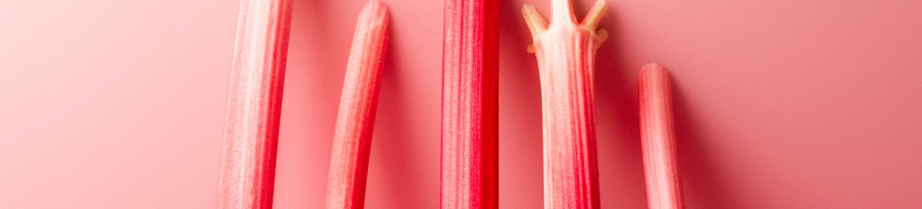 Five pink rhubarb stalks standing upright against a matching pink background.