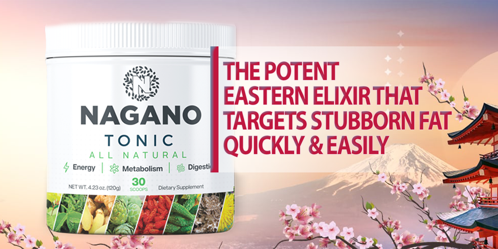 Nagano Tonic (Superfoods)